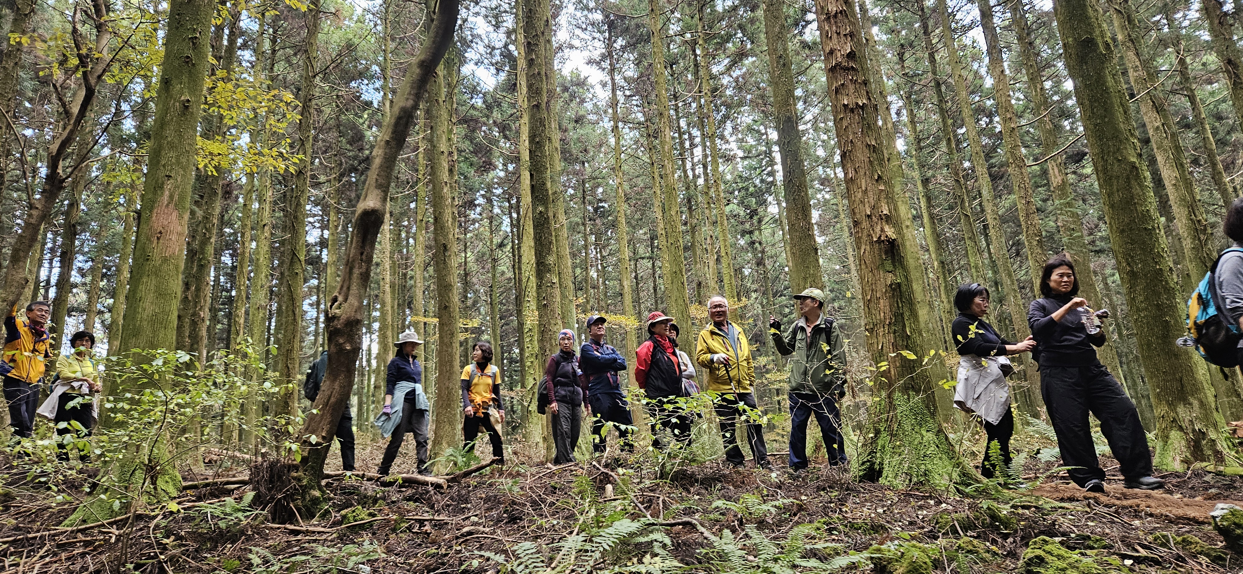 Jeju's Hallasan Mt & Forest Base Trail Loop (5D/4N)