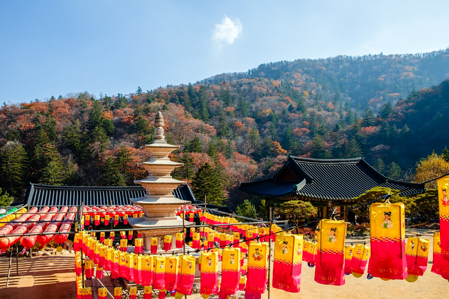 Odesan's Temple to Temple Forest Trekking