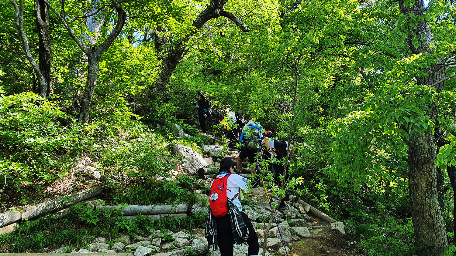 Seoraksan Hiking Course A - Highest Summit East Coast