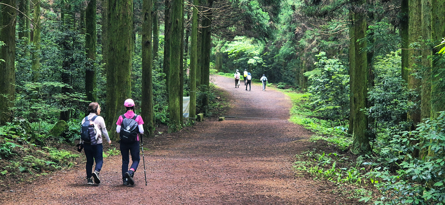 Jeju's Hallasan Mt & Forest Base Trail Loop (5D/4N)