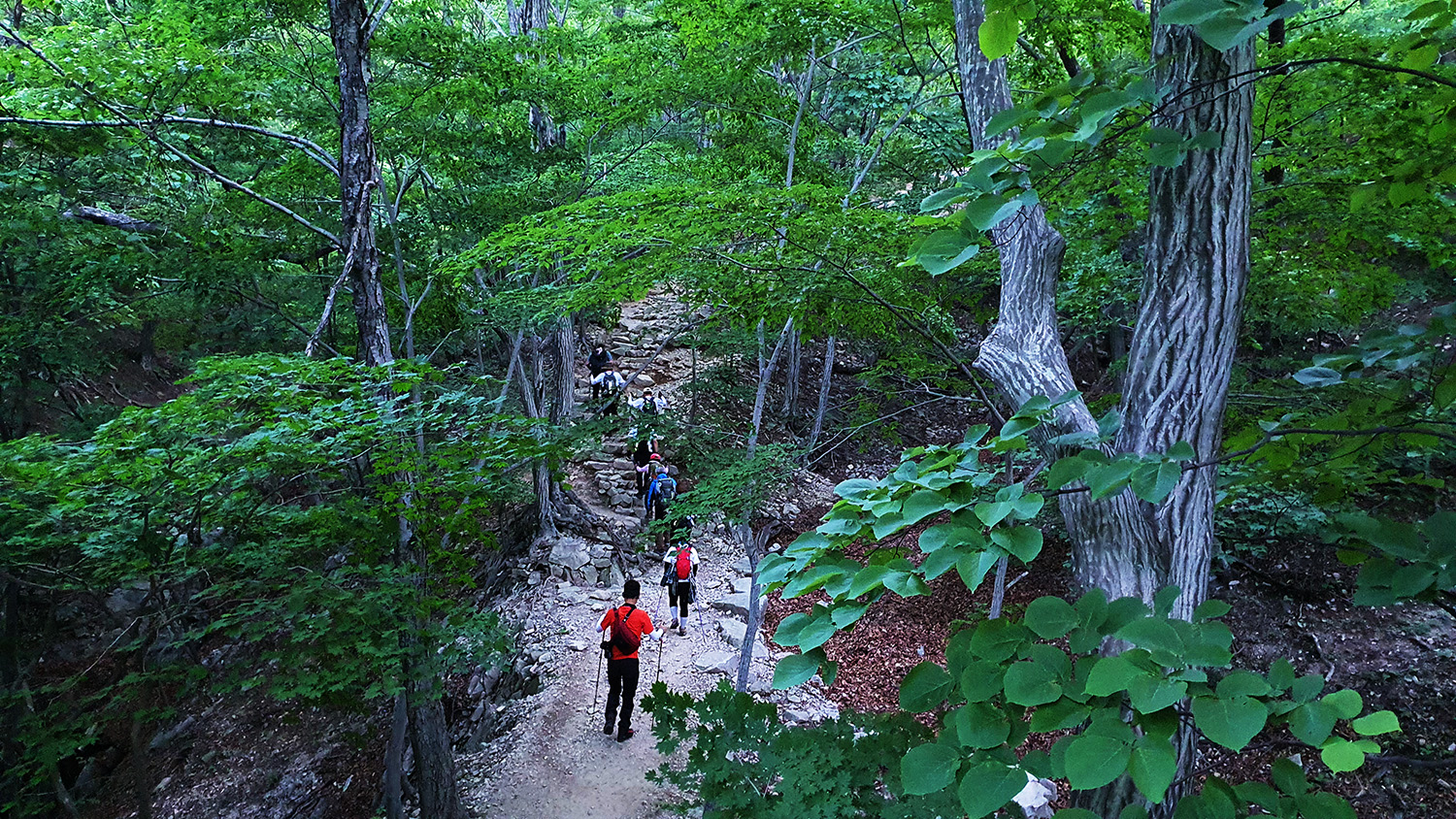 Seoraksan Hiking Course A - Highest Summit East Coast