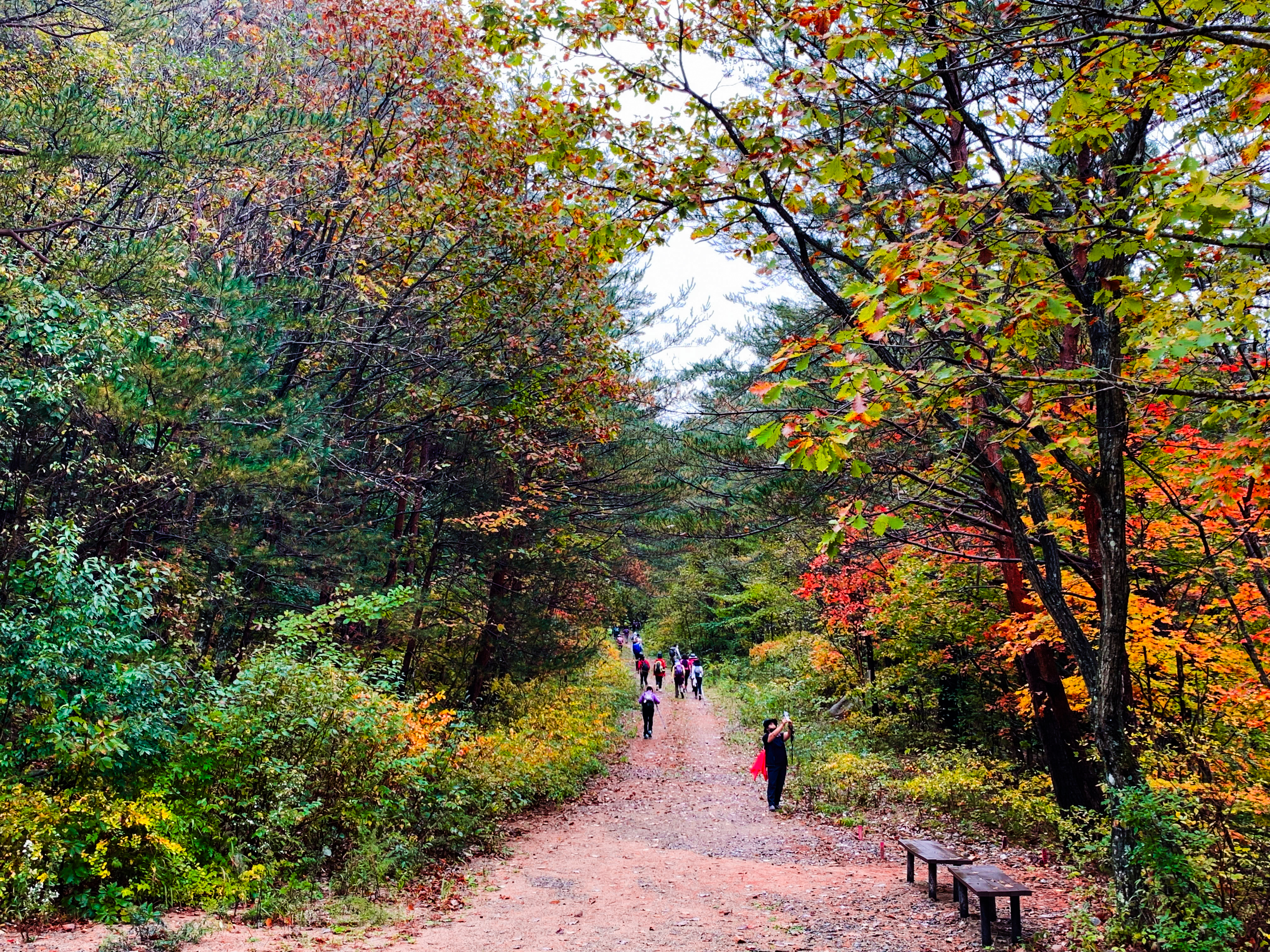 Odesan's Temple to Temple Forest Trekking