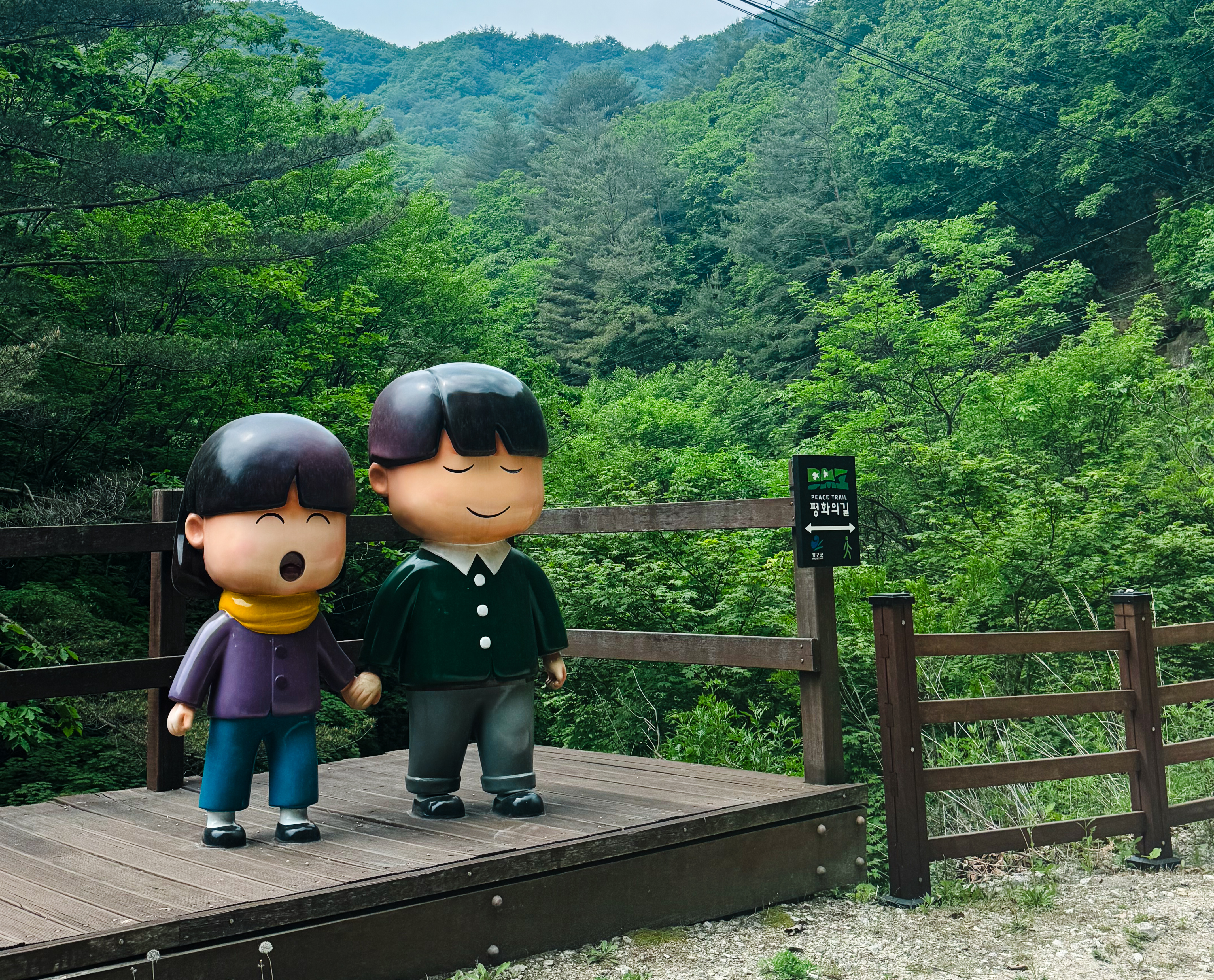 DMZ Forest - Long Trek With Military Personnel
