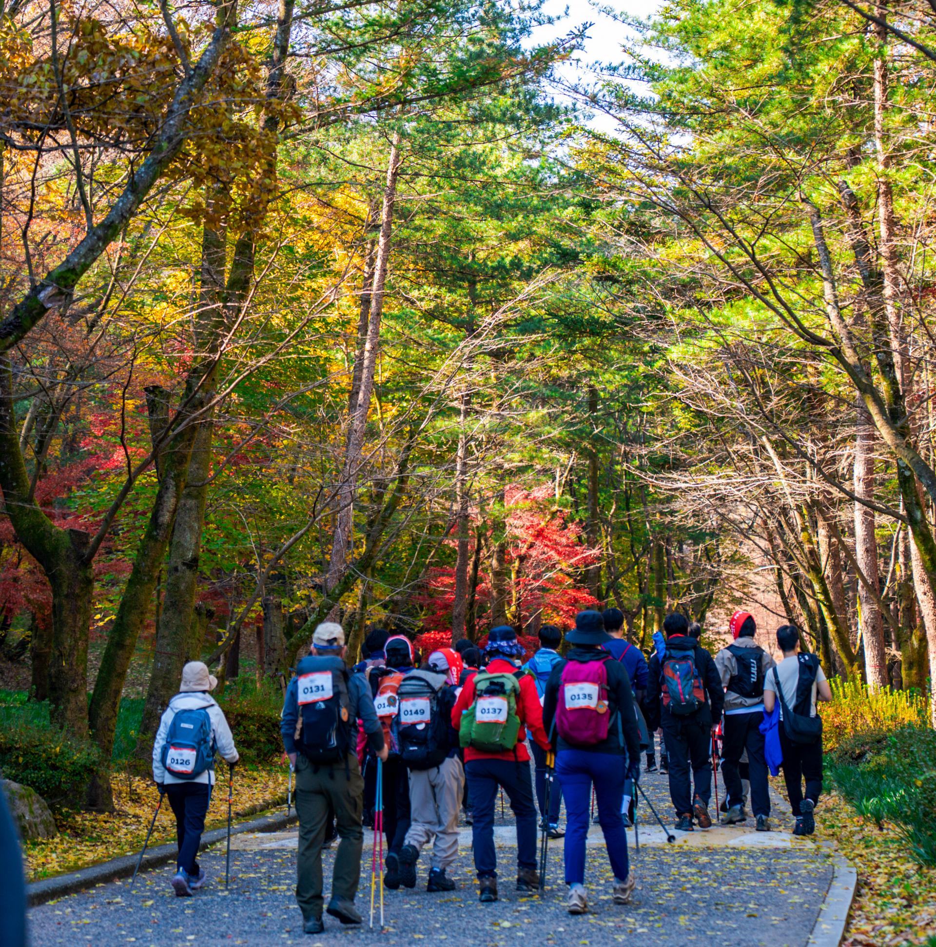 6 Trail Challenge -1st trail, Sangju