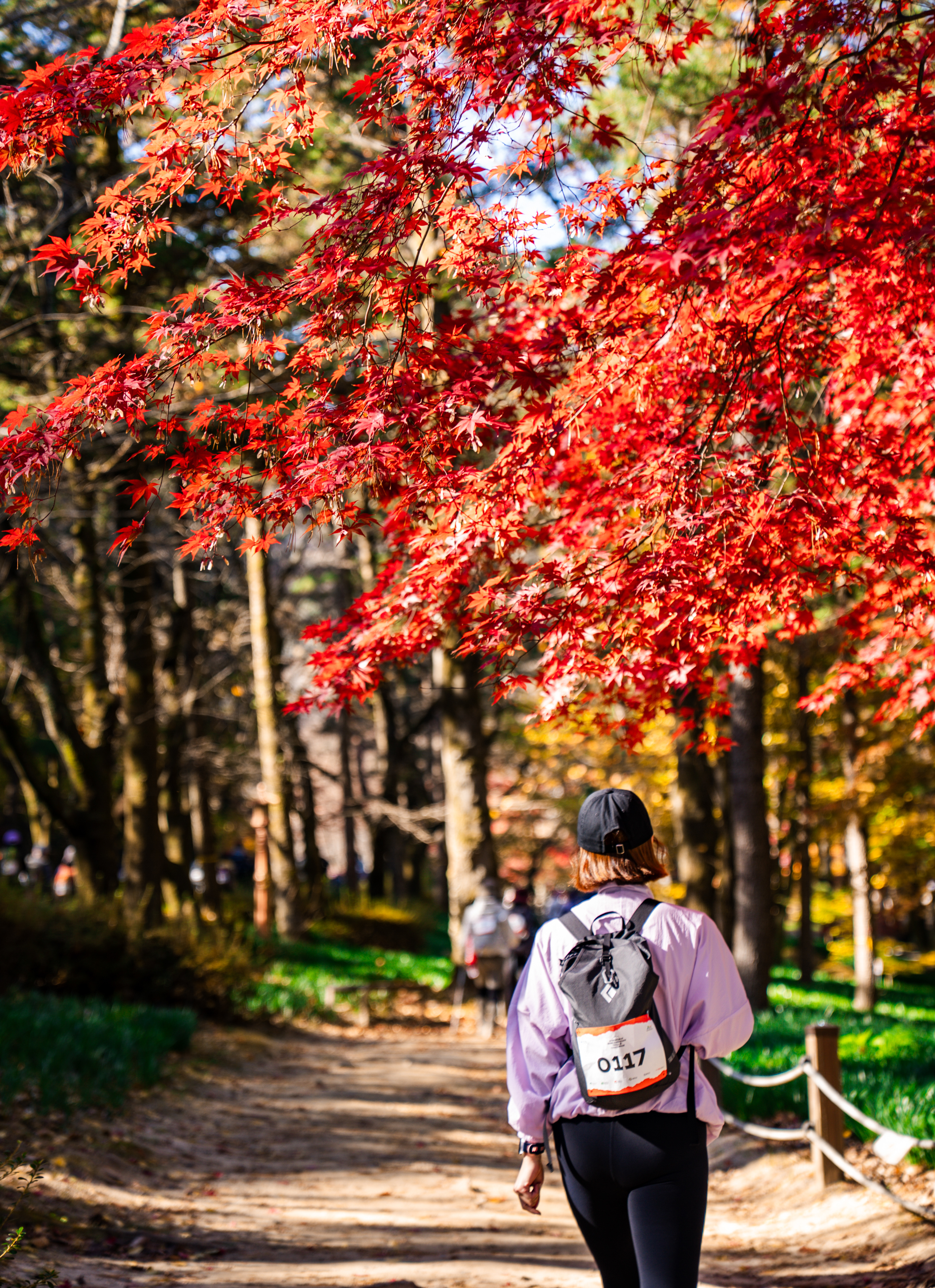 6 Trail Challenge -2nd trail, Gimcheon