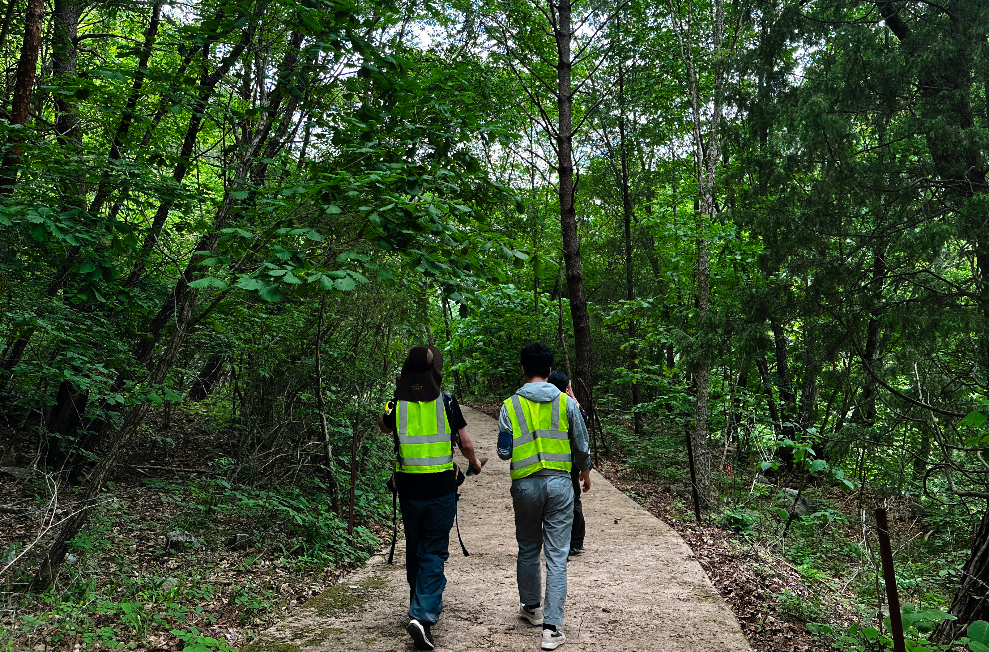 DMZ Forest - Long Trek With Military Personnel