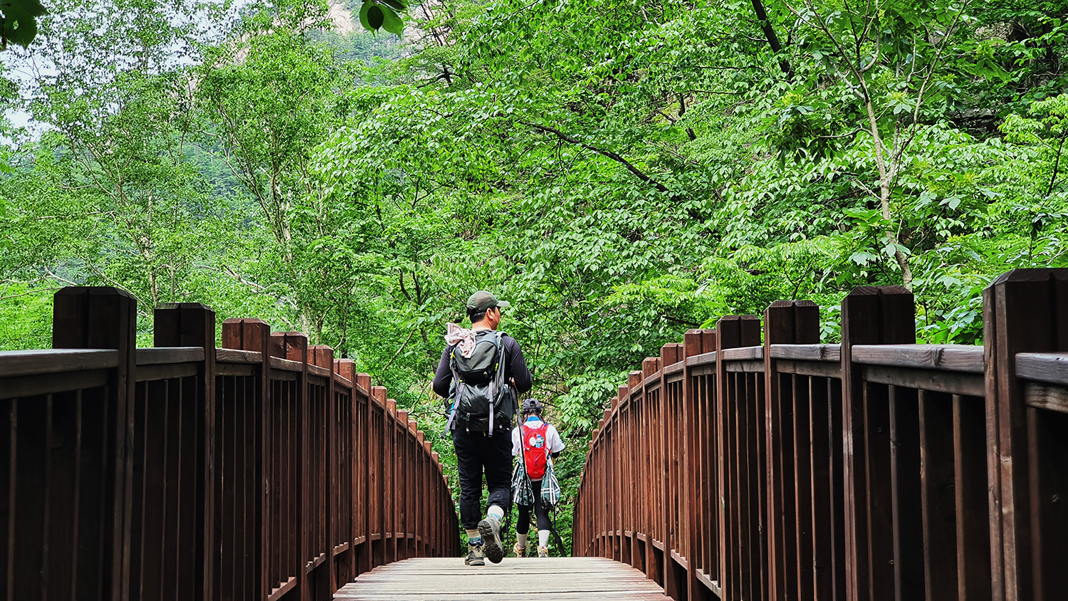 Seoraksan Hiking Course A - Highest Summit East Coast
