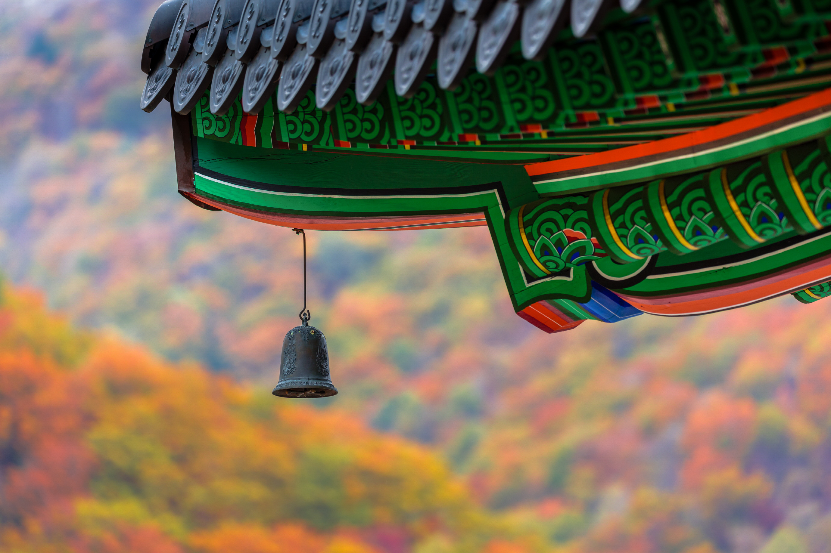 Odesan's Temple to Temple Forest Trekking