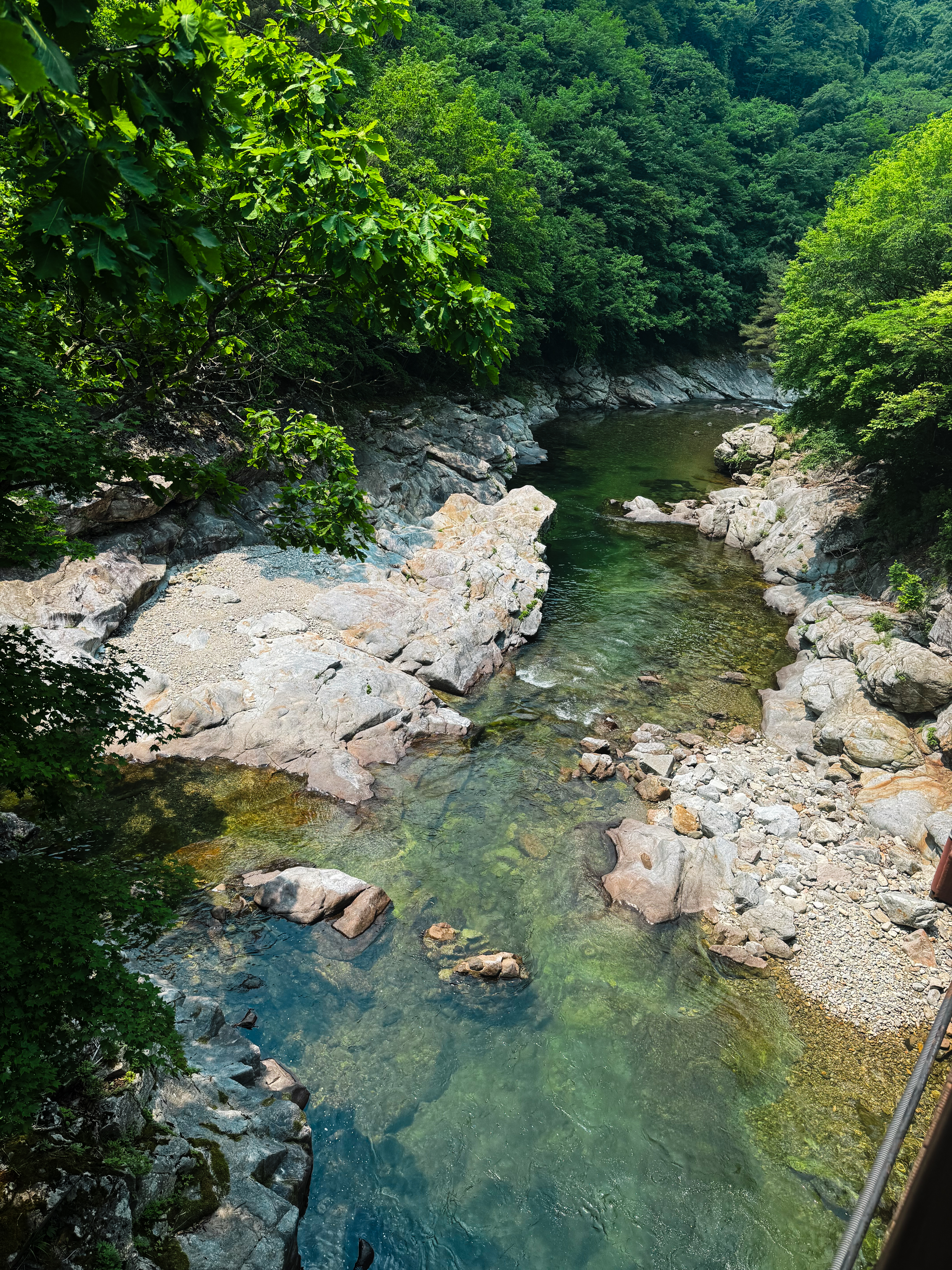 DMZ Forest - Long Trek With Military Personnel