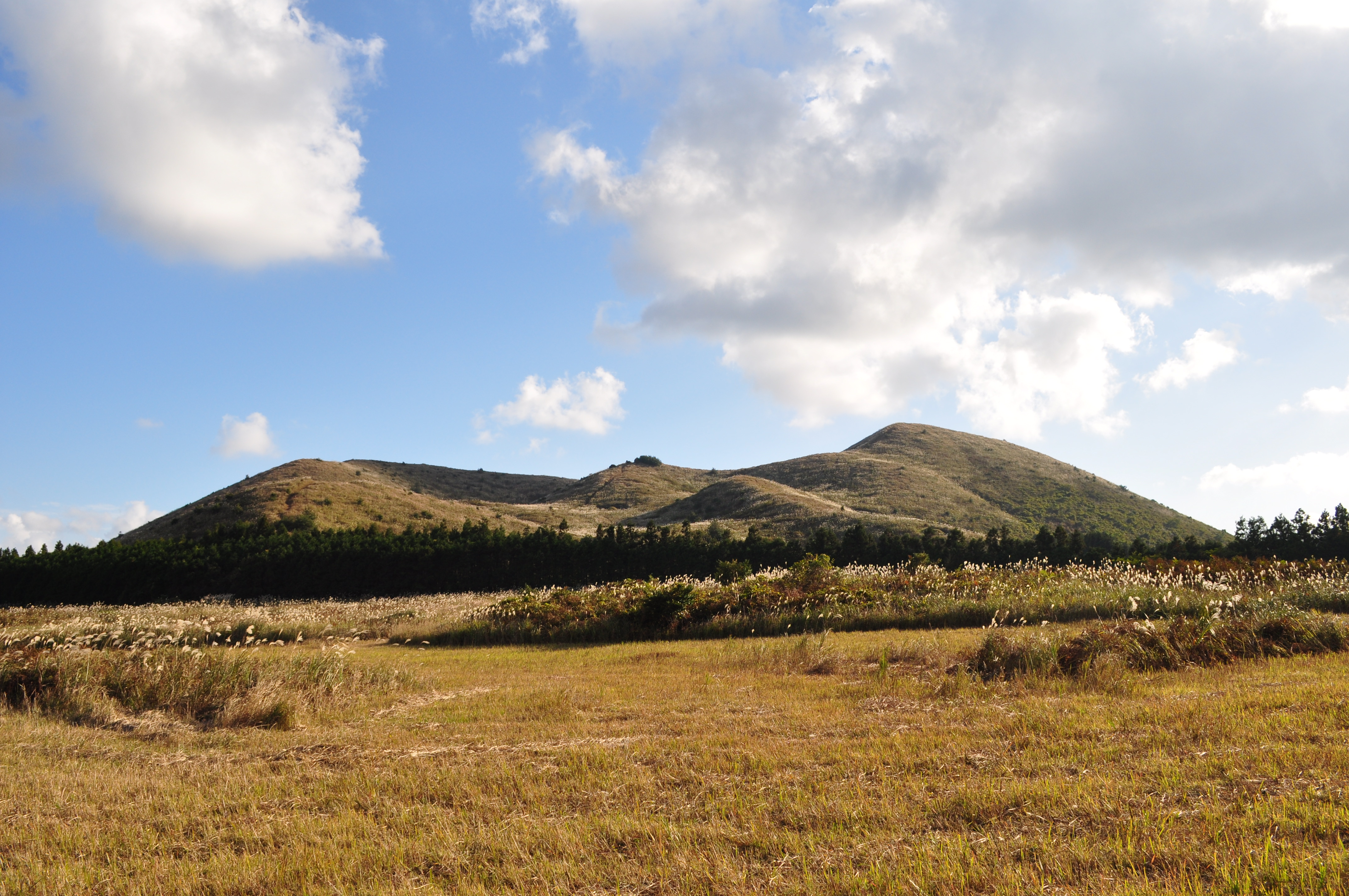 Jeju's Hallasan Mt & Forest Base Trail Loop (5D/4N)