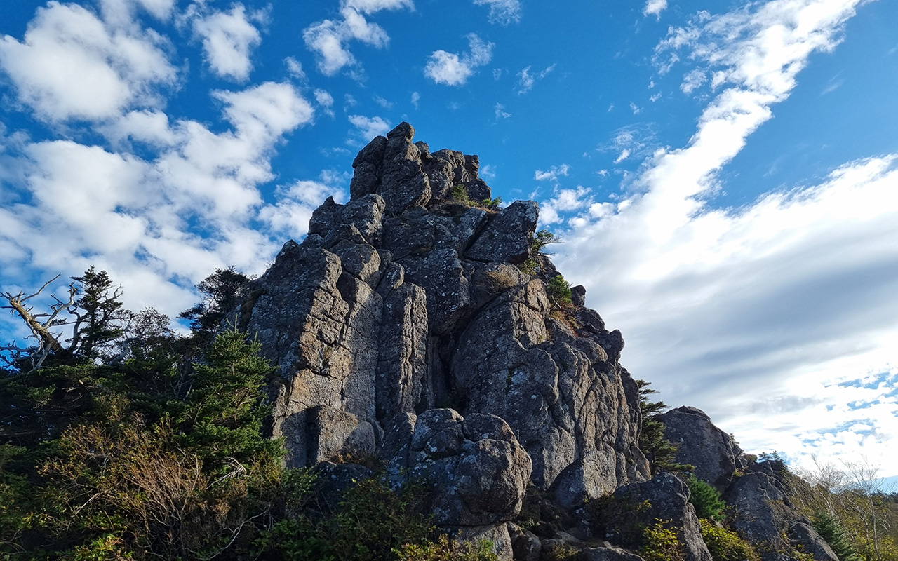 Jirisan Hiking Course C - Mountains & Sea Adventure