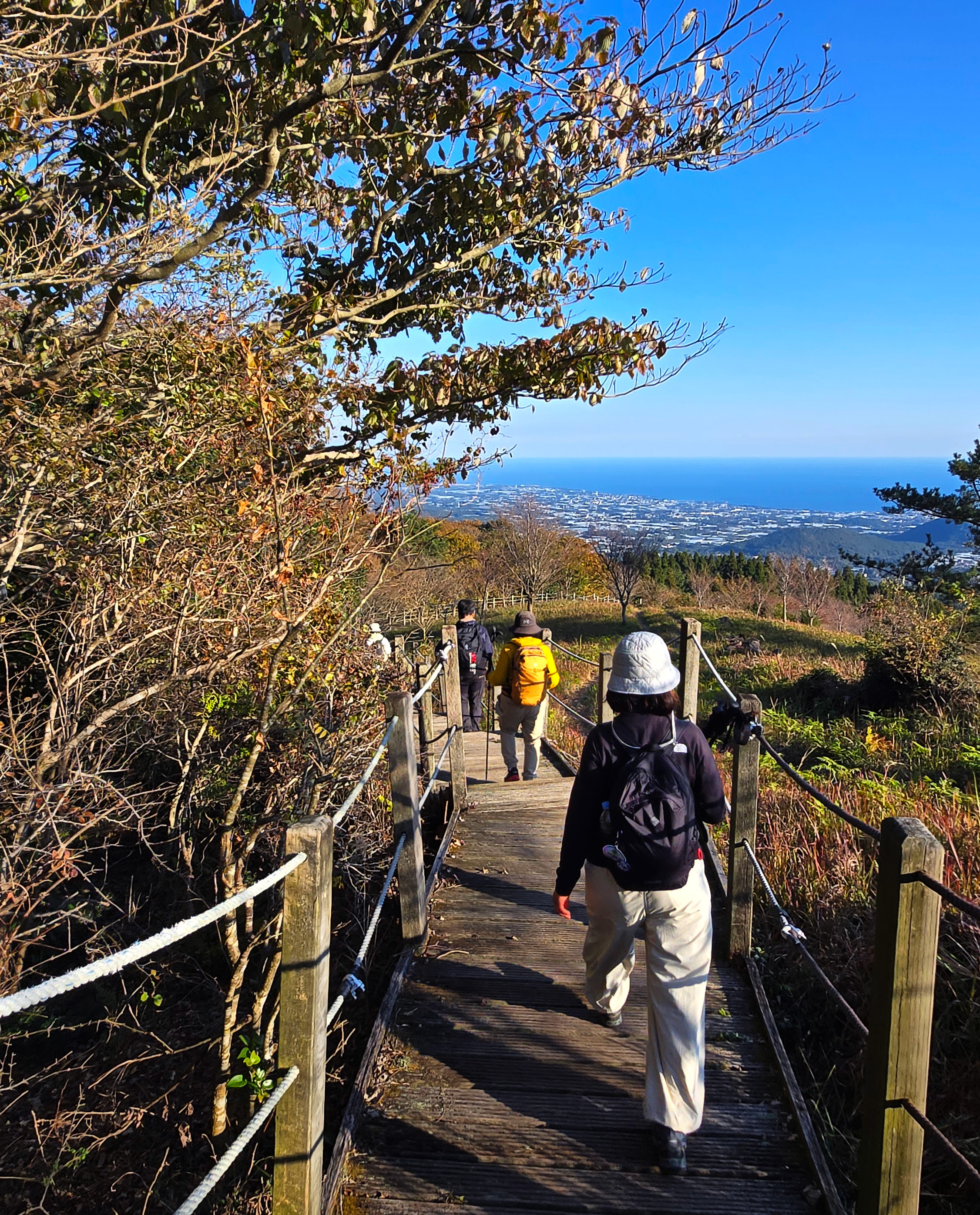 Jeju's Hallasan Mt & Forest Base Trail Loop (5D/4N)
