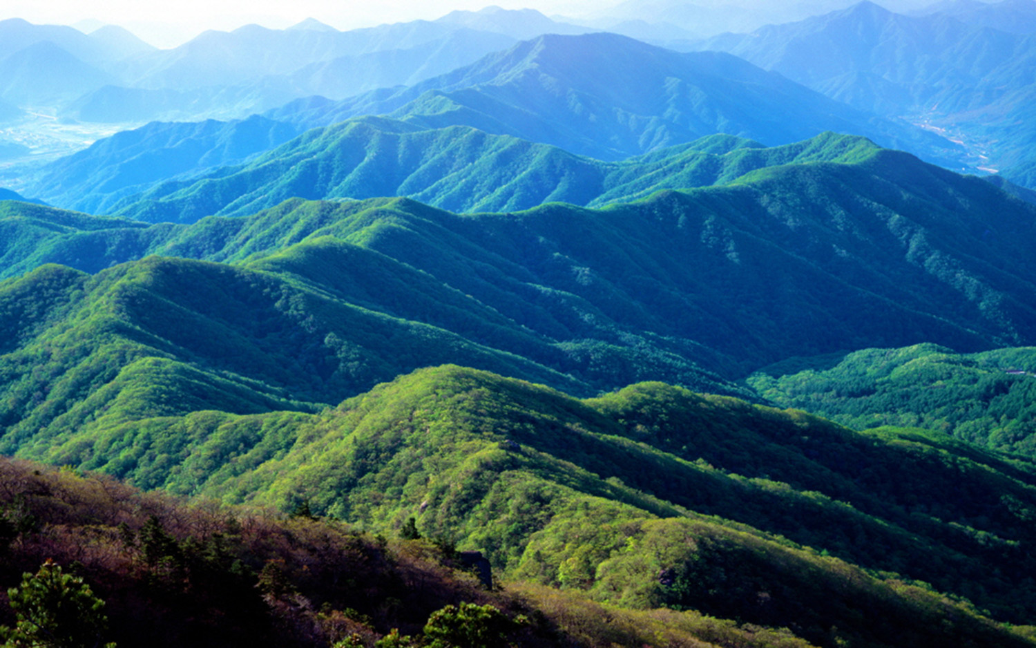 Jirisan Hiking Course C - Mountains & Sea Adventure