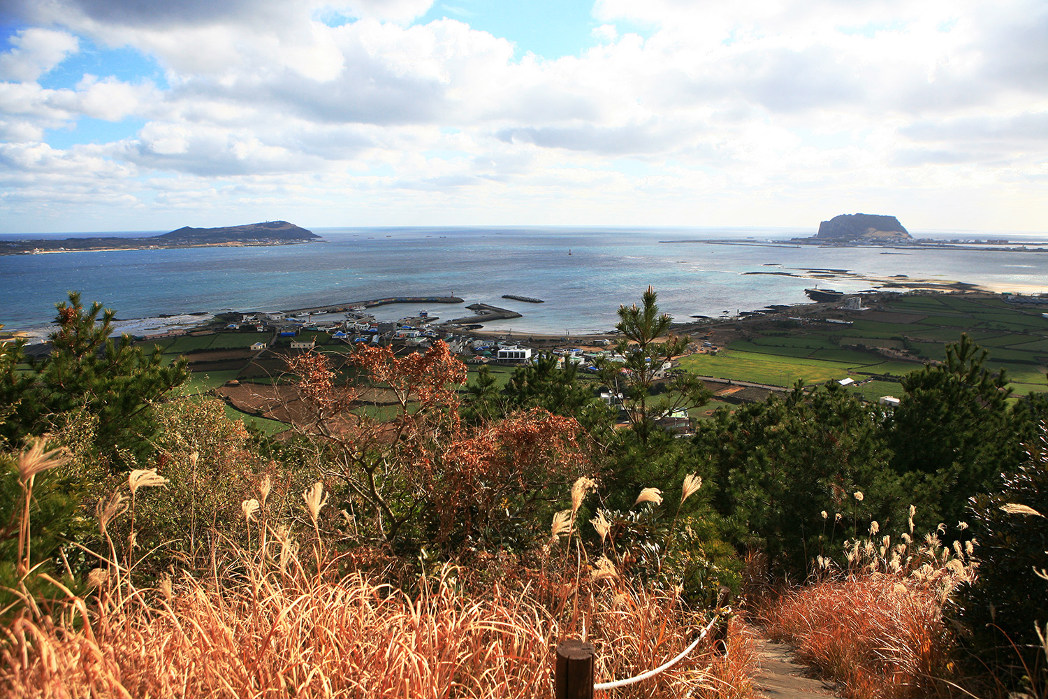 Jeju's Hallasan Mt & Forest Base Trail Loop (5D/4N)
