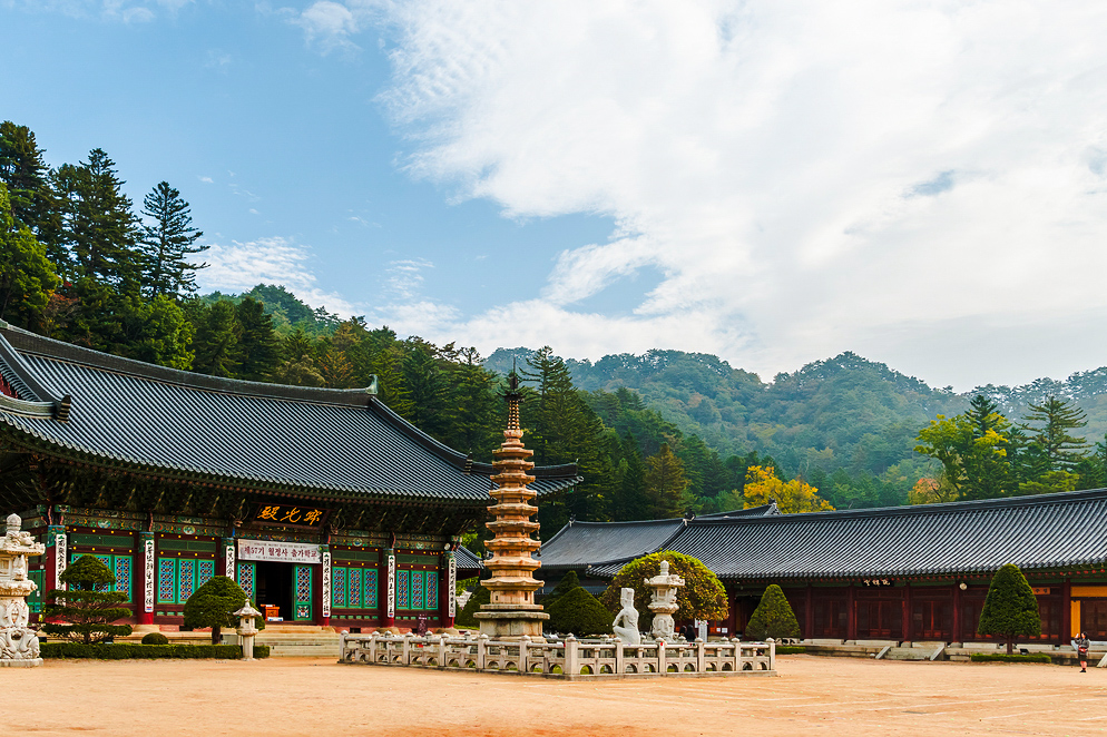 Odesan's Temple to Temple Forest Trekking