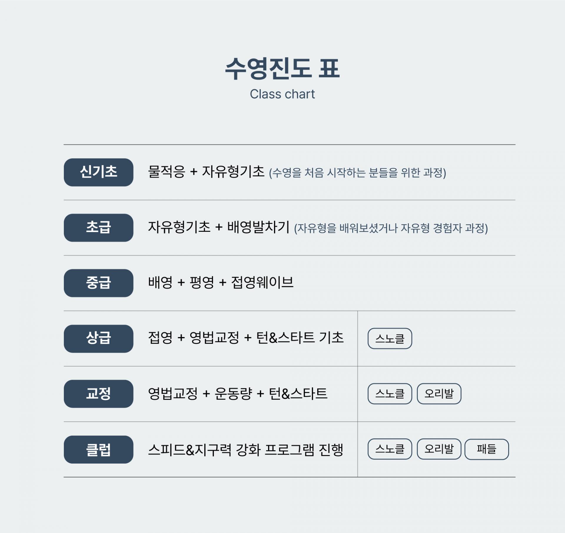 성인 수영강습 주3회