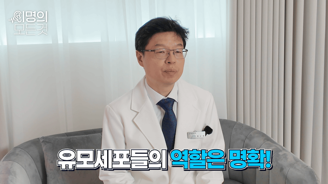 귀에서 삐소리