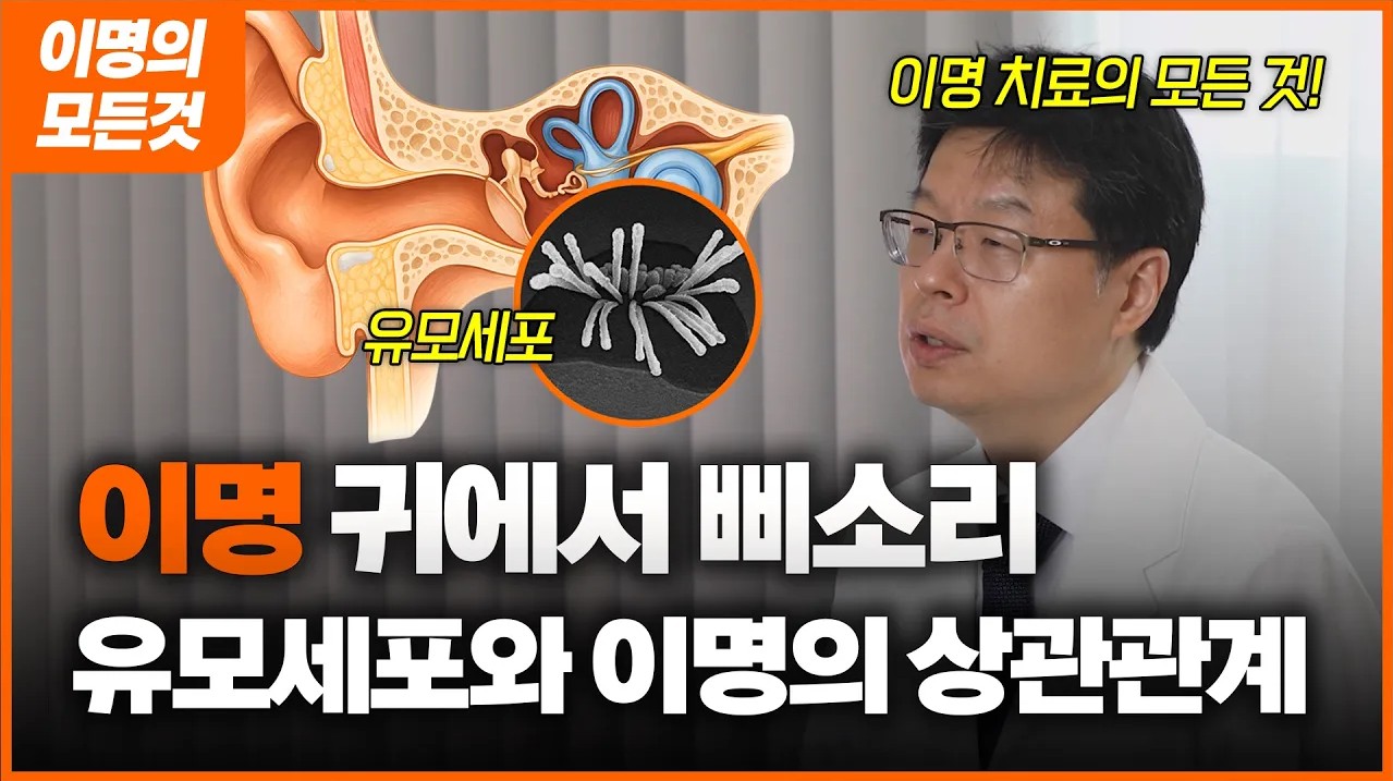 귀에서 삐소리