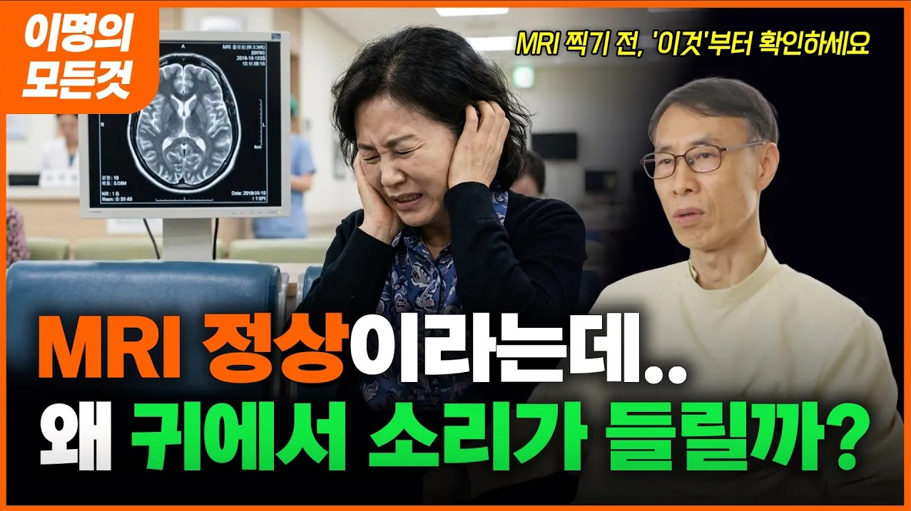 귀에서삐소리