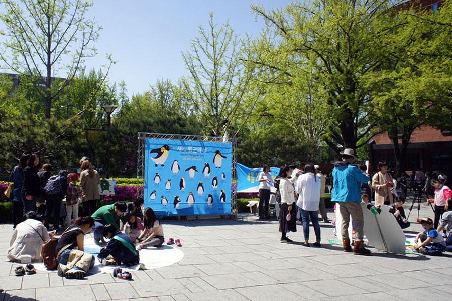 dd755800f3f17.png