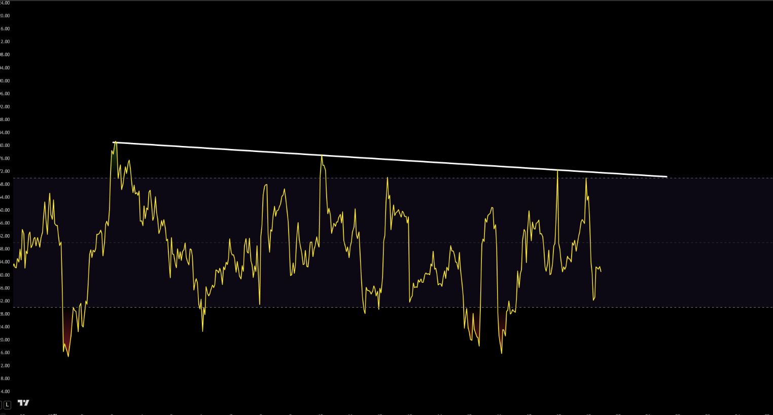 한끗에 올인] 12/19(금) 브리핑 : 코인로드: 코인 교육의 새 시대