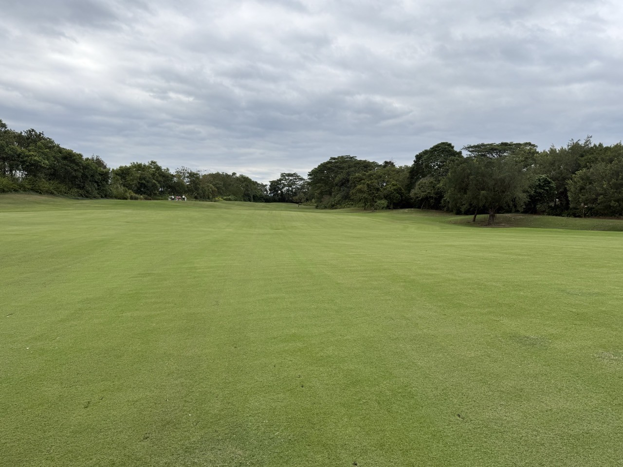 [연말연시] 세계 100대 명문코스 광저우 사자호 - 5성급 쉐라톤리조트 패키지