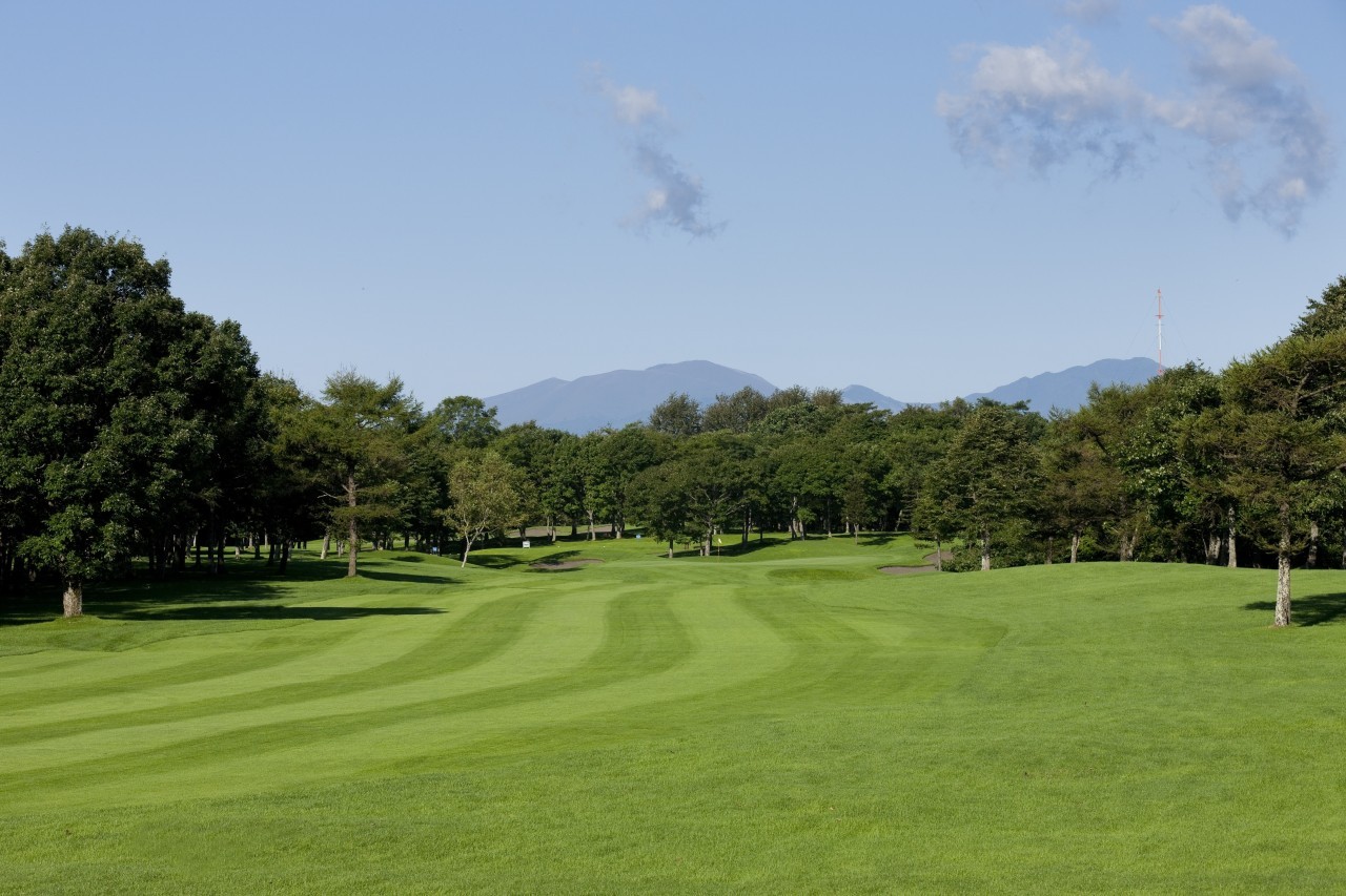 [삿포로] 시내중심 4성급 온천호텔 3색골프 패키지 - 삿포로시내 자유관광 OK