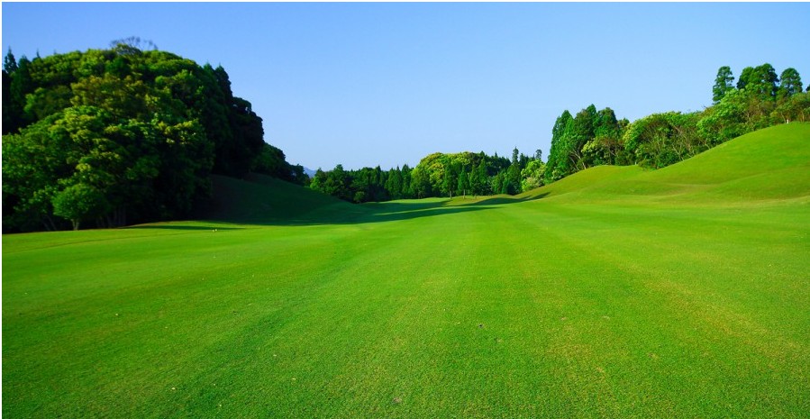 가고시마 명문 다카마키CC JLPGA 개최지 중식외 올포함