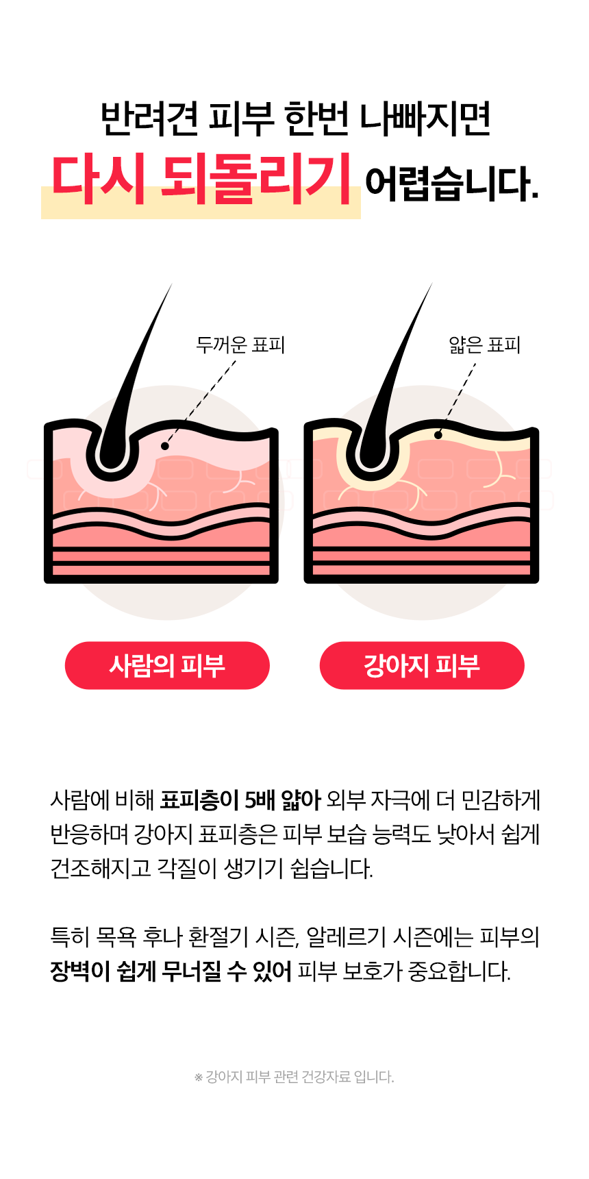 피부+피모 영양제 윤기나개 100g