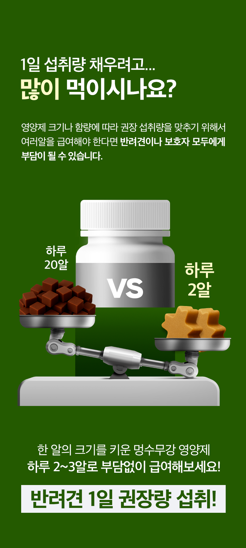 관절강화 영양제 튼튼하개 100g