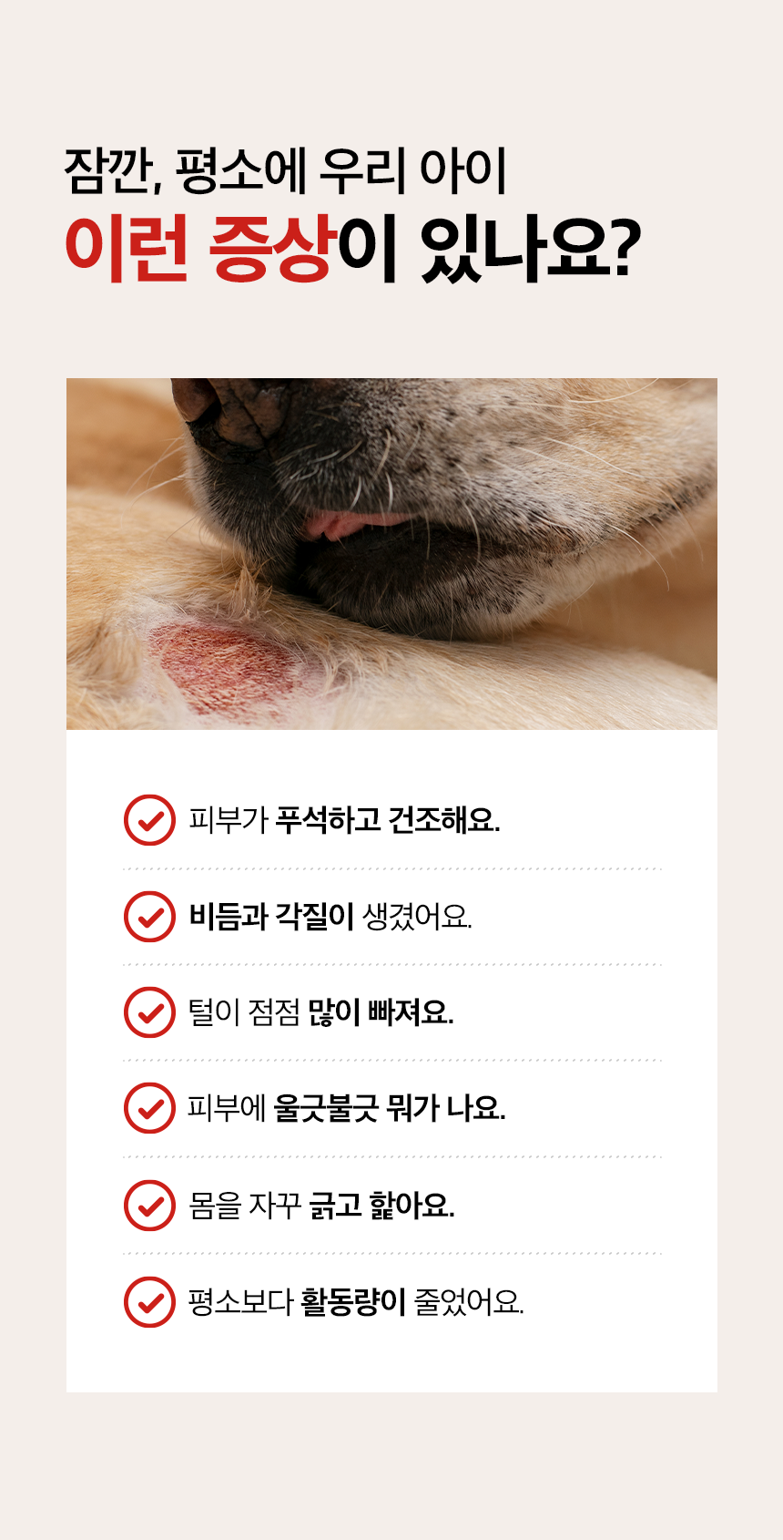 피부+피모 영양제 윤기나개 100g