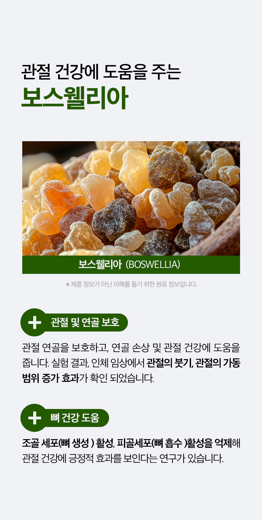 관절강화 영양제 튼튼하개 100g
