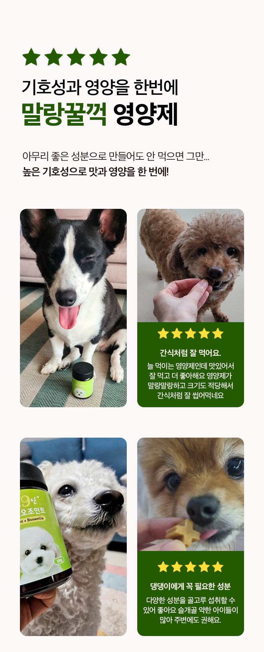 관절강화 영양제 튼튼하개 100g