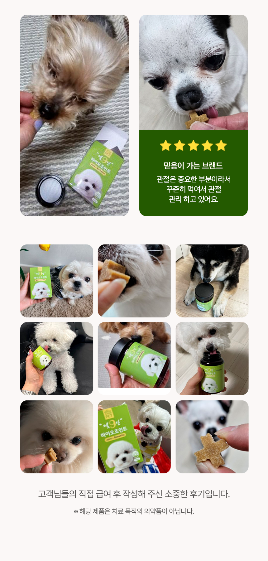 관절강화 영양제 튼튼하개 100g