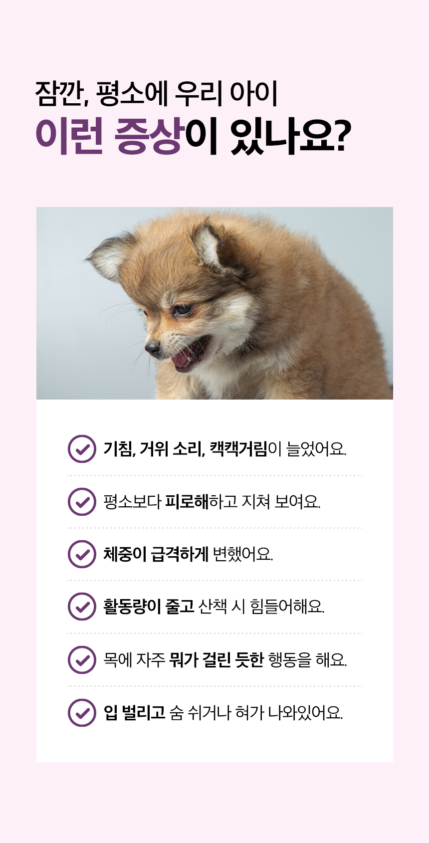 목우촌 멍수무강 강아지 기관지 협착증 영양제 100g 상쾌하개
