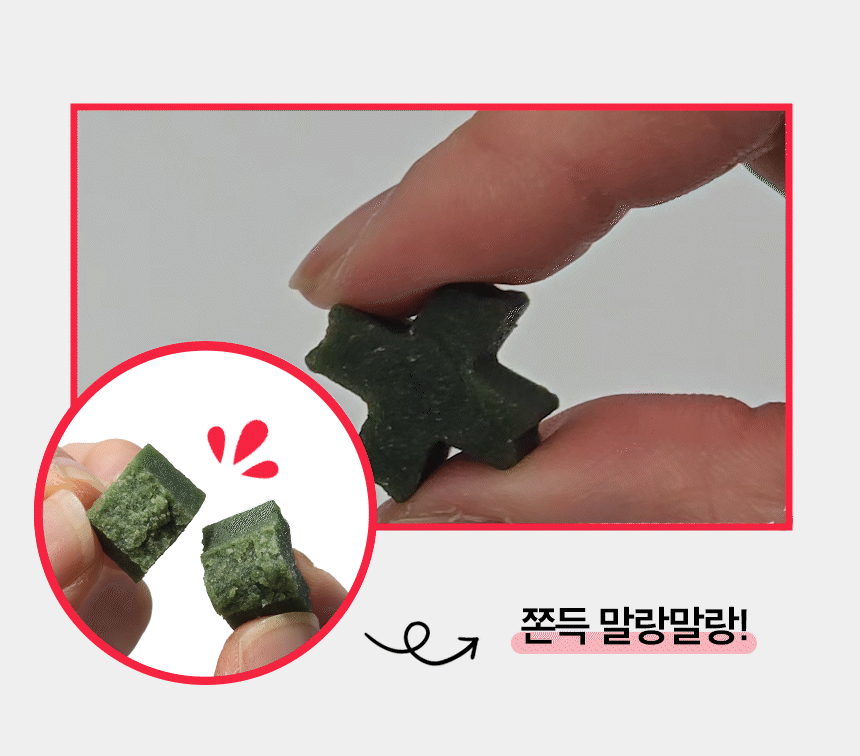 피부+피모 영양제 윤기나개 100g