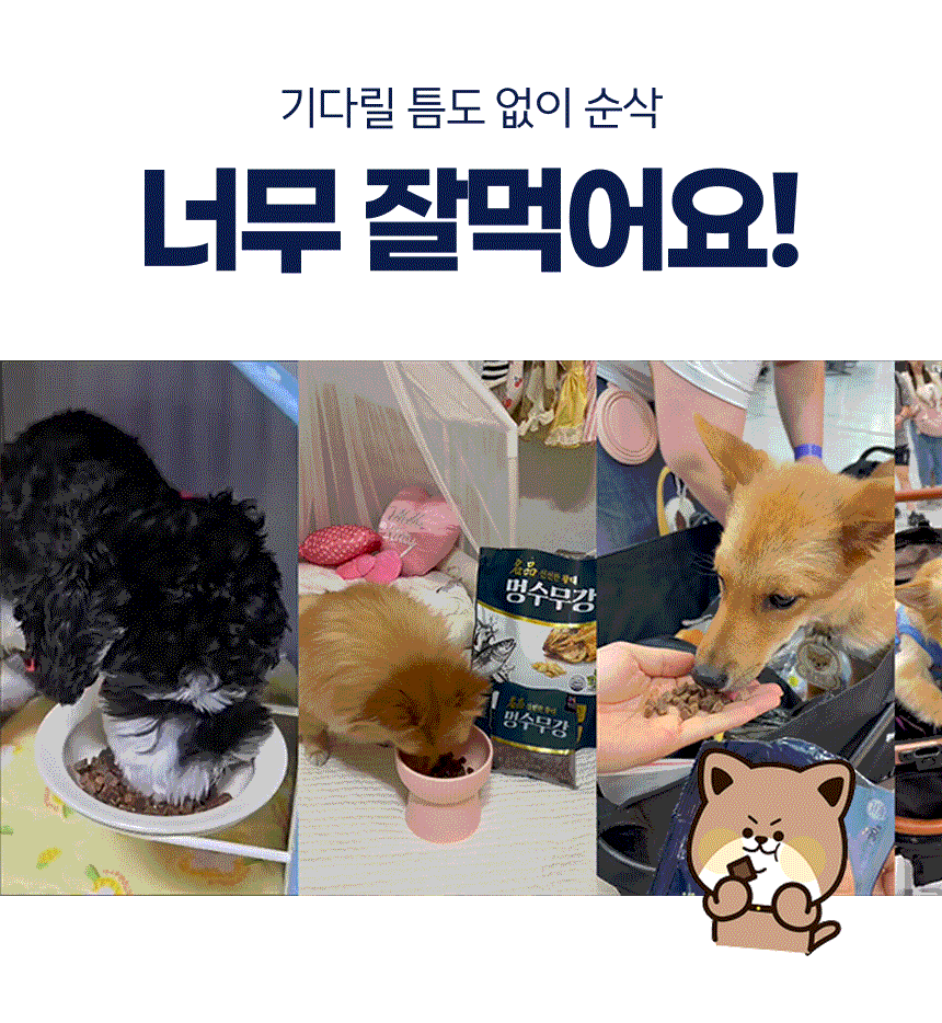 한우 기능성 소프트 사료 1kg