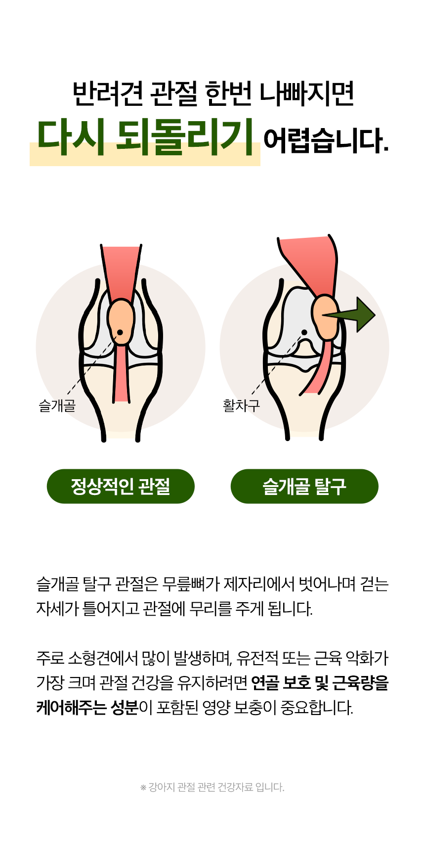 관절강화 영양제 튼튼하개 100g