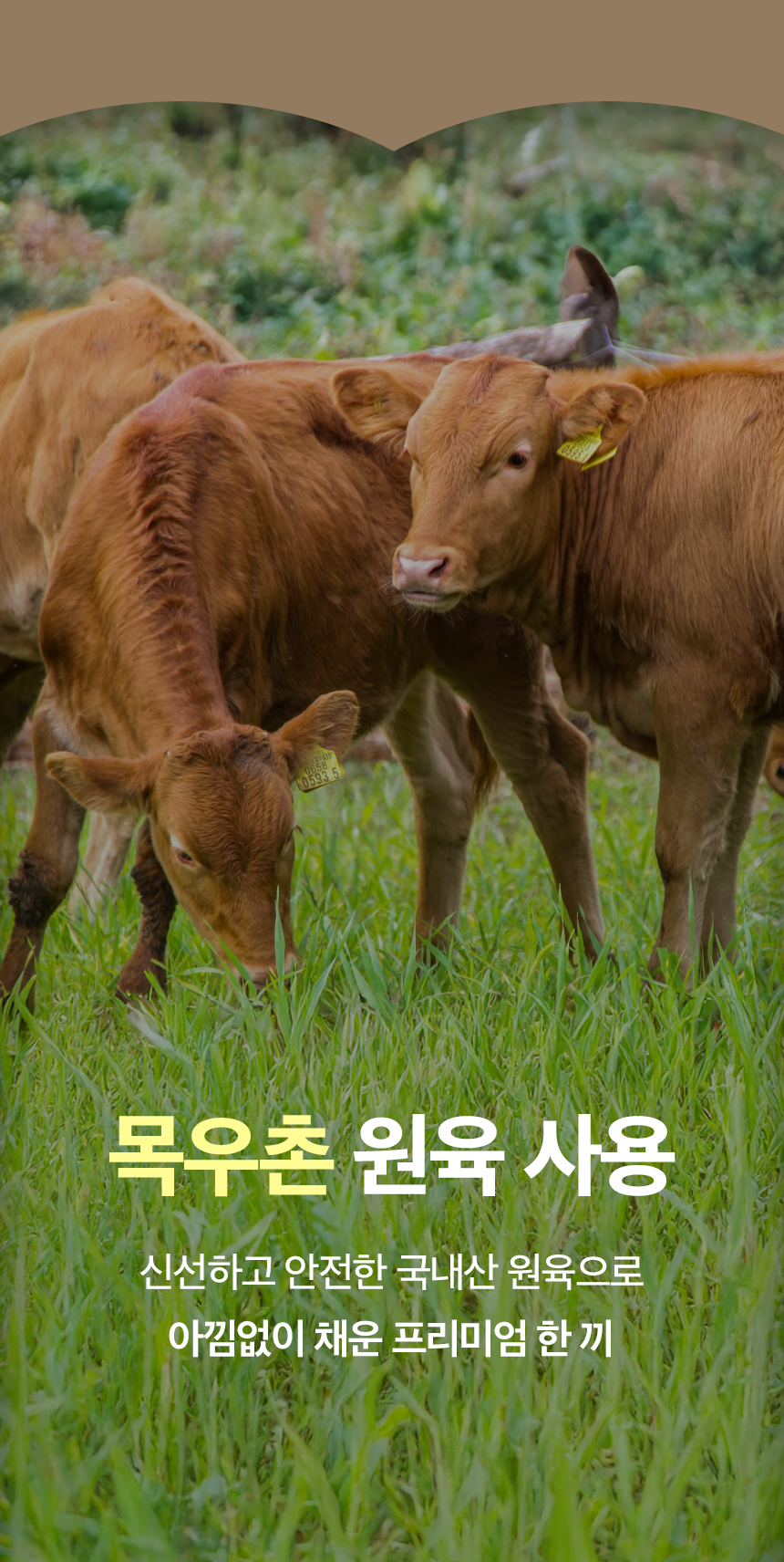 [정기배송] 돼지 기능성 소프트 사료 1kg