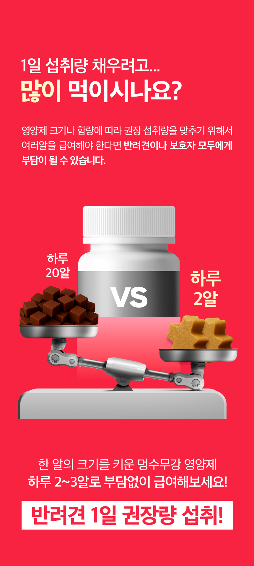 피부+피모 영양제 윤기나개 100g