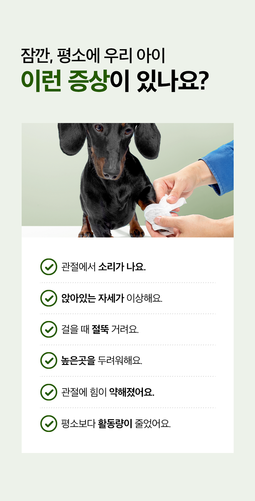 관절강화 영양제 튼튼하개 100g