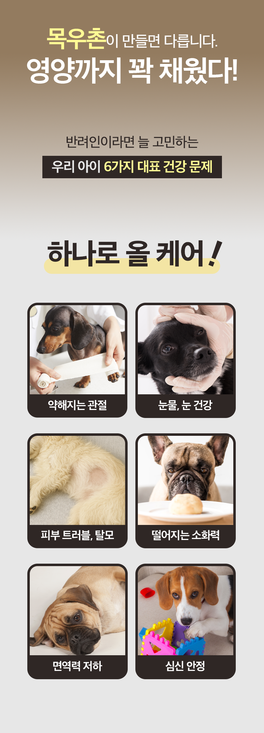 [정기배송] 닭 기능성 소프트 사료 1kg