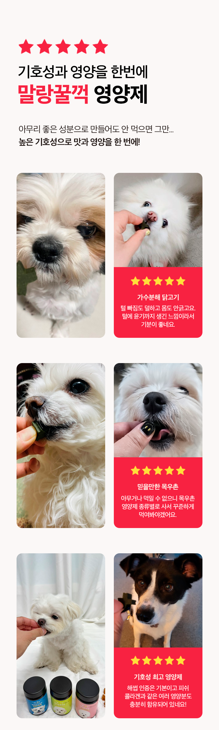 피부+피모 영양제 윤기나개 100g