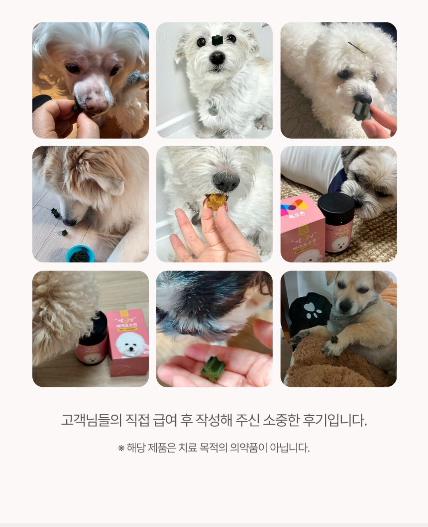피부+피모 영양제 윤기나개 100g