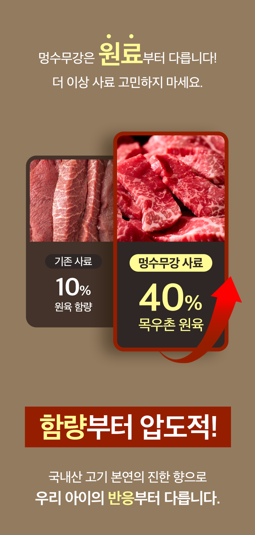 [정기배송] 돼지 기능성 소프트 사료 1kg