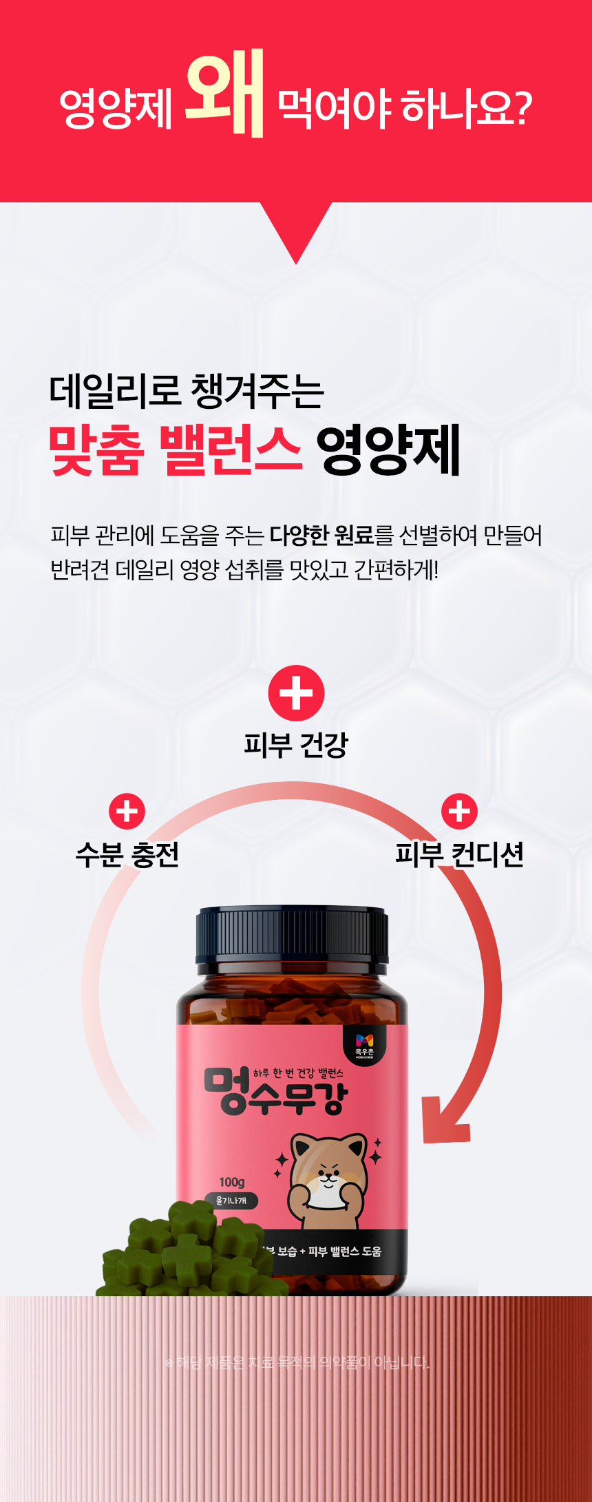 피부+피모 영양제 윤기나개 100g