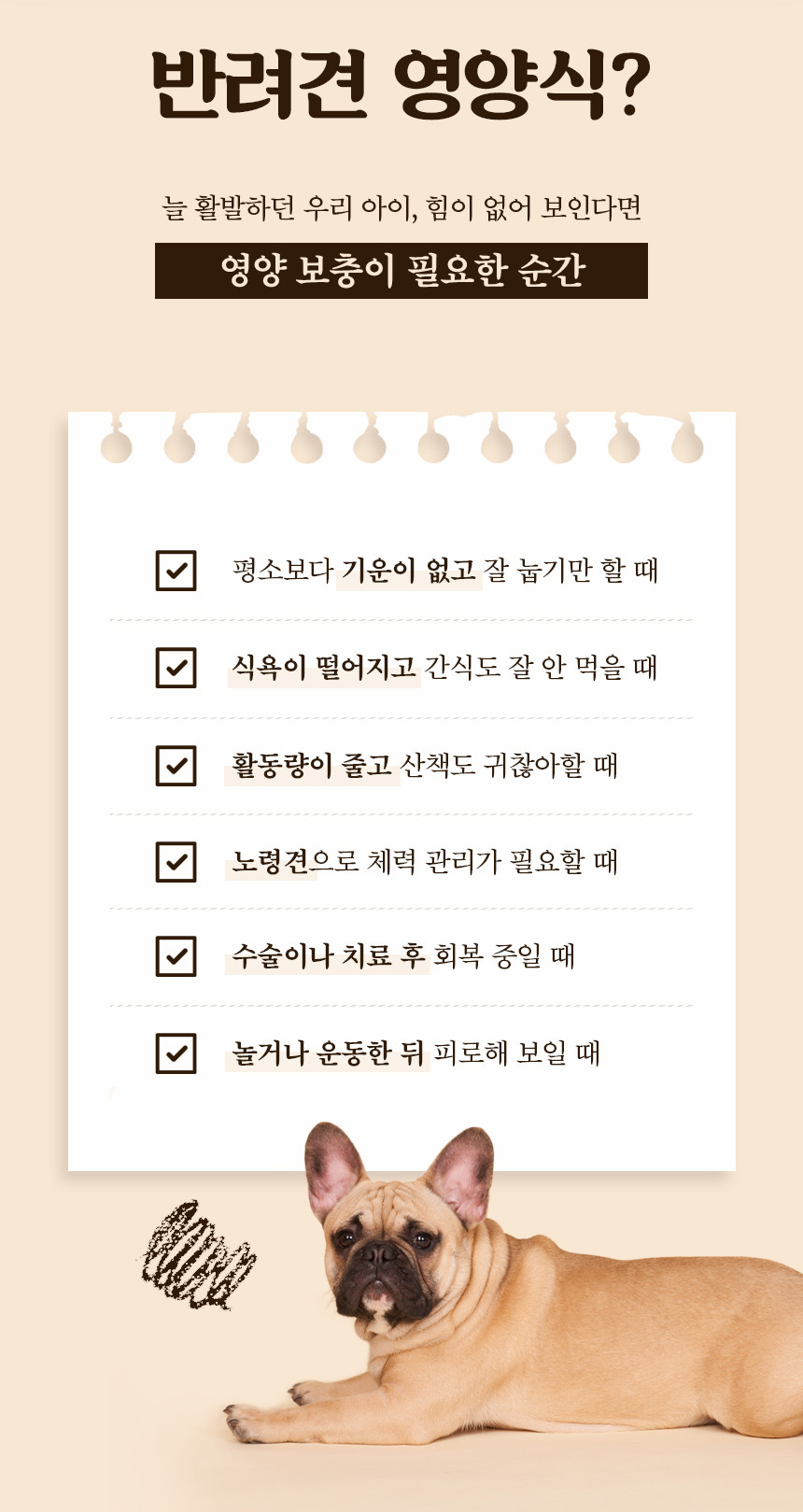 바이오 안심 삼계탕 강아지 보양식 삼계죽 습식파우치 230g