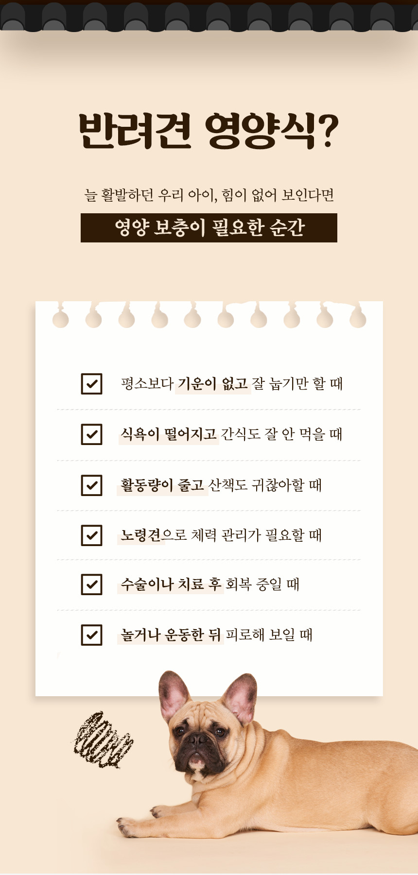 바이오 순살 삼계탕 강아지 보양식 삼계죽 습식파우치 370g