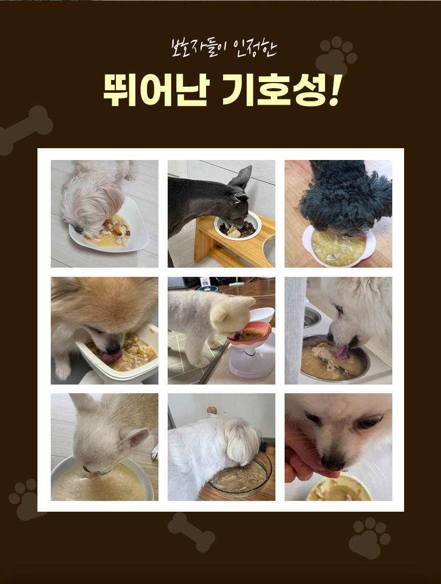 바이오 순살 삼계탕 강아지 보양식 삼계죽 습식파우치 370g