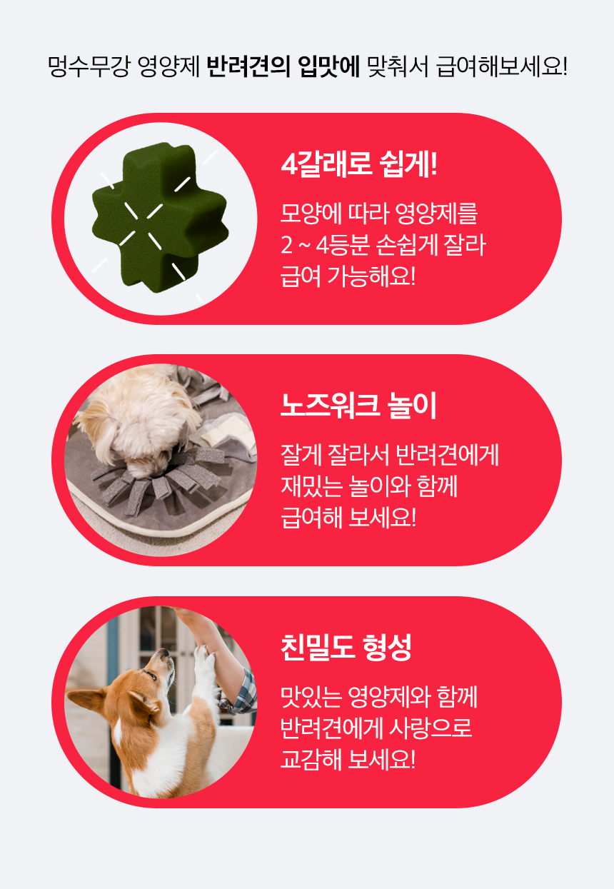 피부+피모 영양제 윤기나개 100g